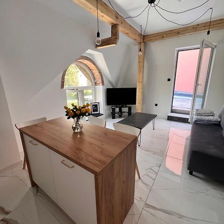 Dworskiego 74, Apartament 2 Przemyśl 外观 照片